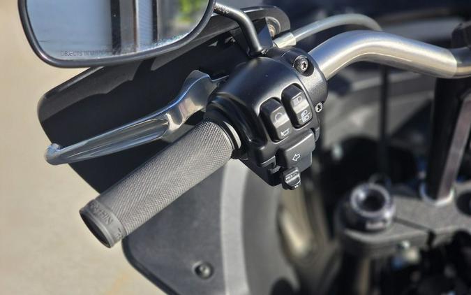 2023 Harley-Davidson Softail® Low Rider® ST