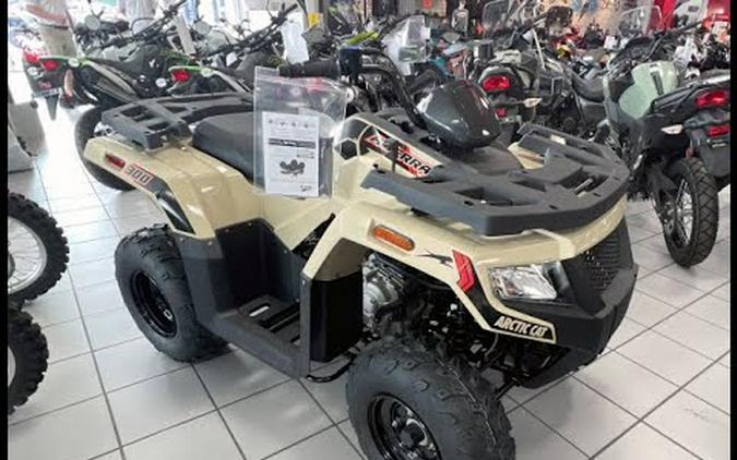 2023 Arctic Cat Alterra 300