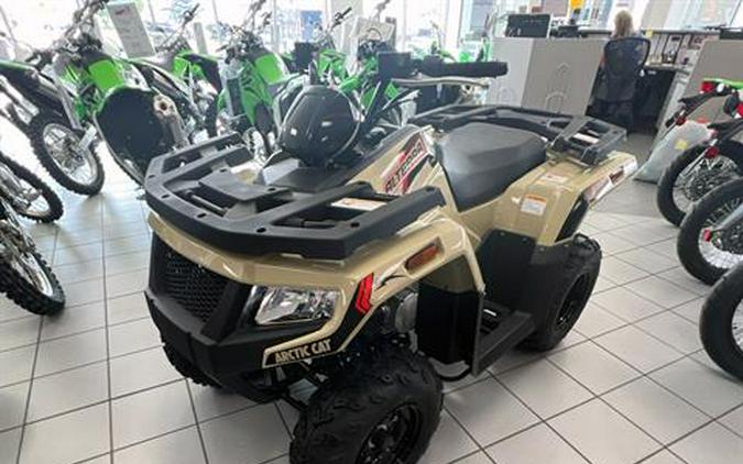 2023 Arctic Cat Alterra 300