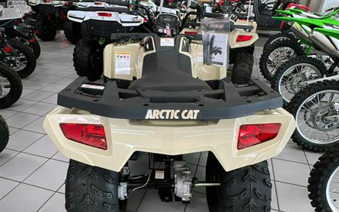 2023 Arctic Cat Alterra 300