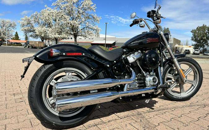 FXST 2024 Softail Standard