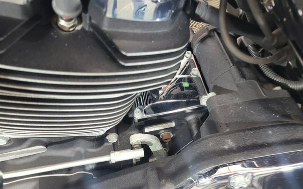 2017 Harley Davidson Freewheeler Flrt