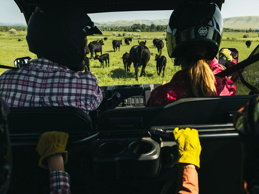 2026 CFMOTO UForce 800 XL