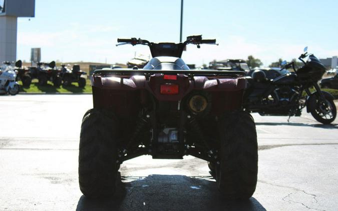 2020 Yamaha Kodiak 450 EPS