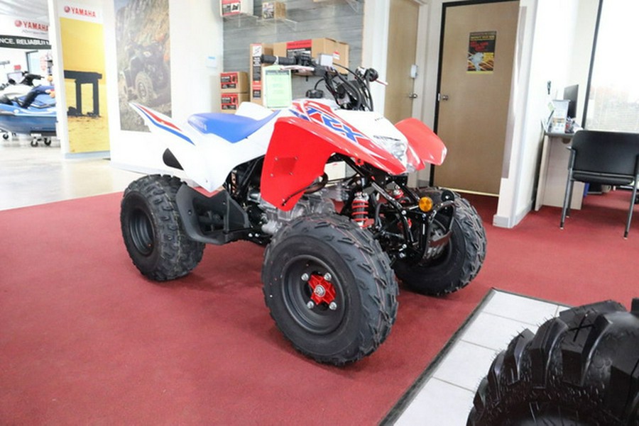 2026 Honda TRX 250X