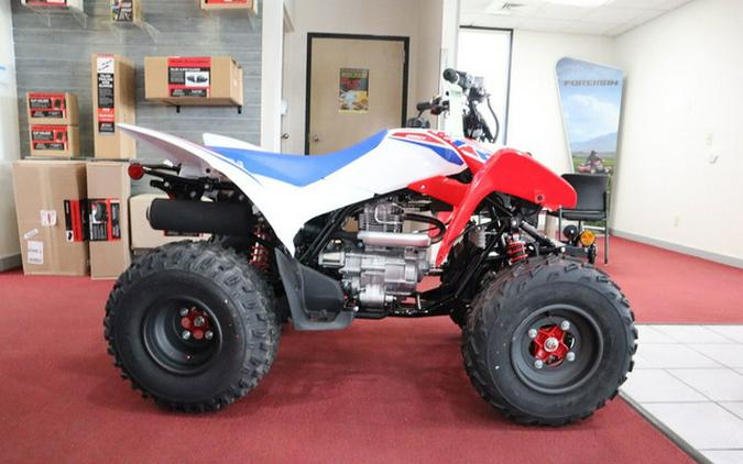 2026 Honda TRX 250X