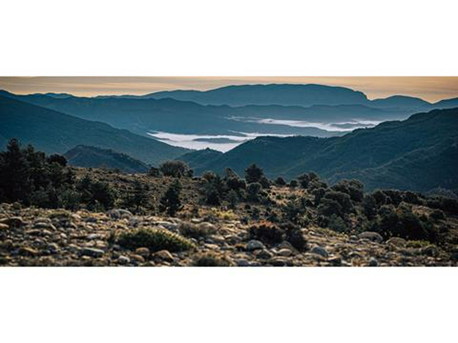 2026 KTM 390 Adventure X