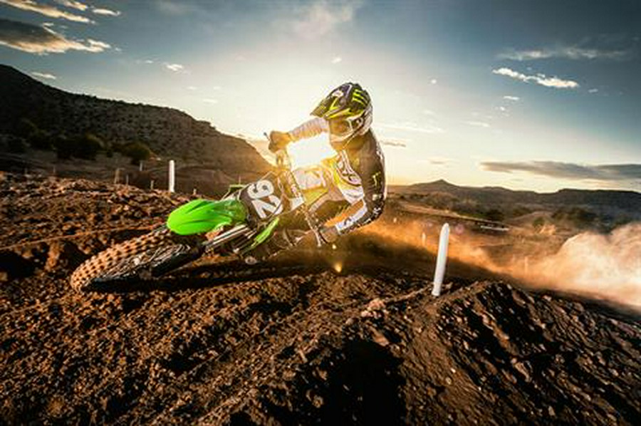 2019 Kawasaki KX 250