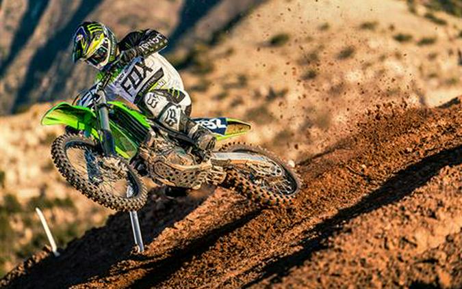 2019 Kawasaki KX 250