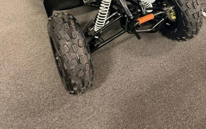 2027 Polaris Phoenix 200