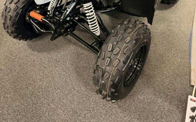 2027 Polaris Phoenix 200