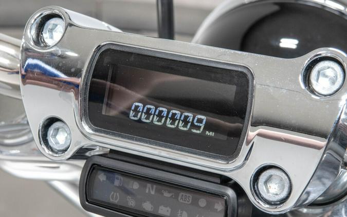 2024 Harley-Davidson Softail Standard