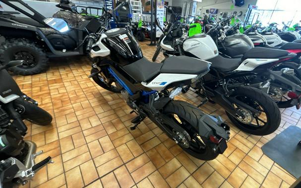 2025 CFMOTO 300NK CF300-US