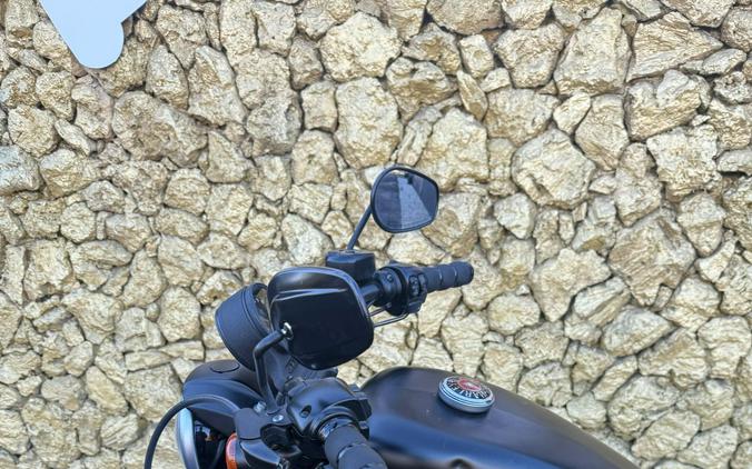 2014 Harley-Davidson Sportster® Iron 883™