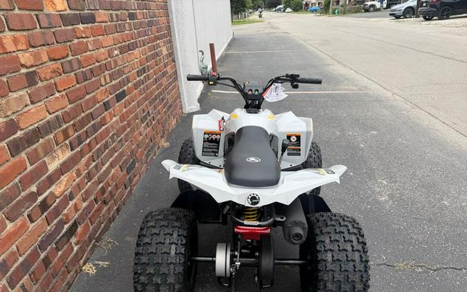 2026 Renegade 110 EFI - Can-Am