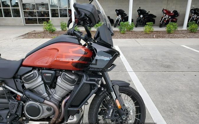 2025 HD Pan America® 1250 Special - CPO HD!!