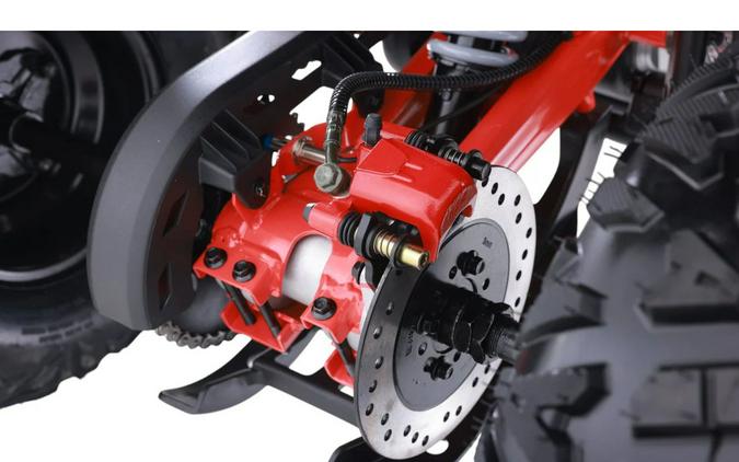 2026 Denago Powersports Mudhawk 10FI