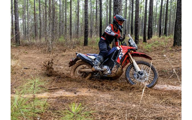 2025 Honda CRF300L Rally ABS