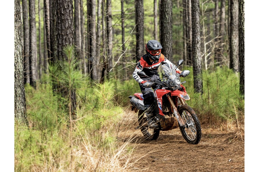 2025 Honda CRF300L Rally ABS