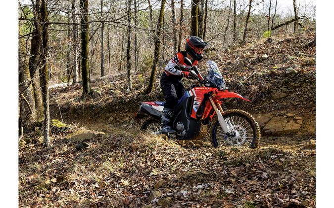 2025 Honda CRF300L Rally ABS