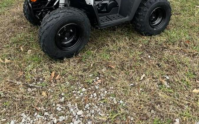 2026 Kawasaki KFX®90