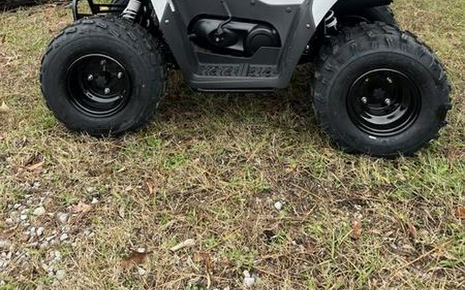 2026 Kawasaki KFX®90