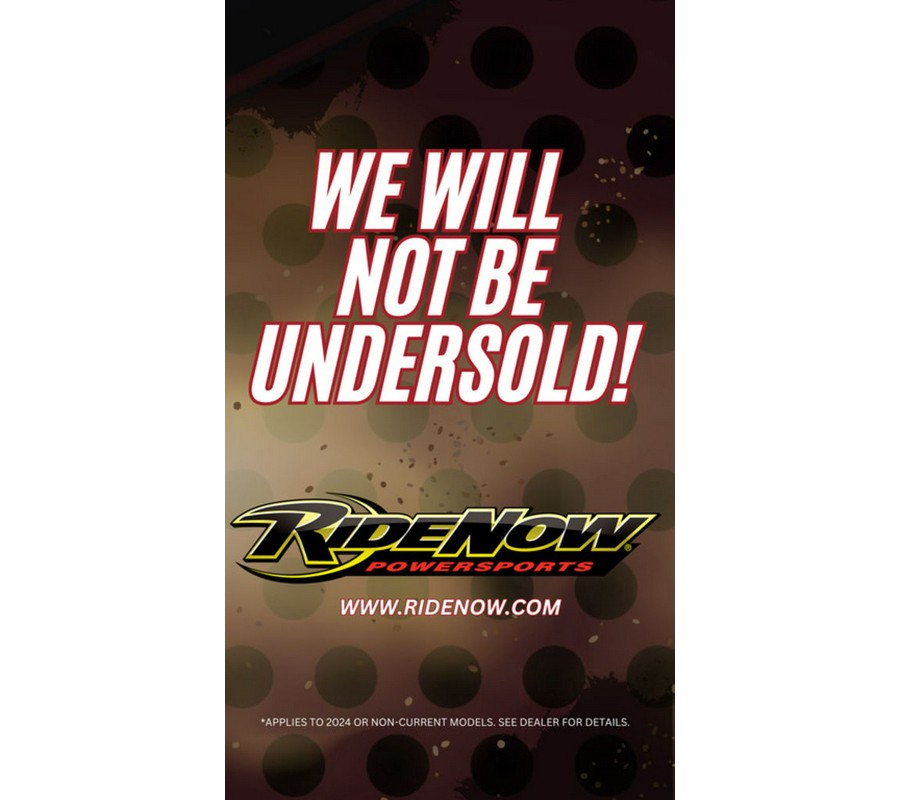 2021 Kawasaki Teryx KRX® 1000 eS