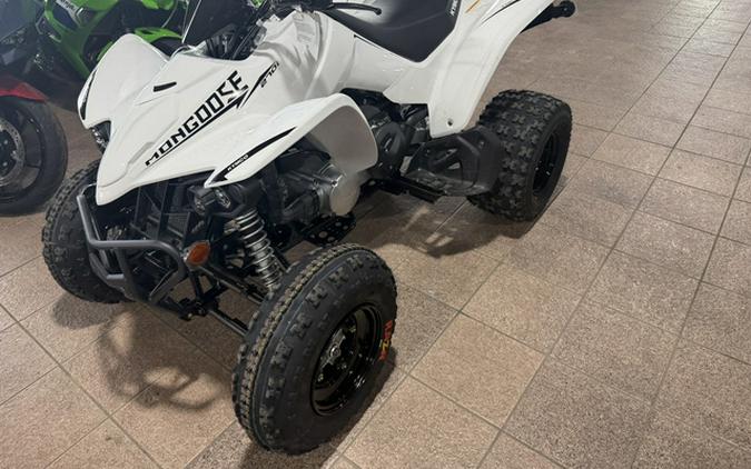2026 KYMCO Mongoose 270i