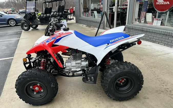 2026 Honda TRX250X