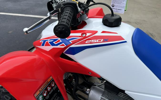 2026 Honda TRX250X