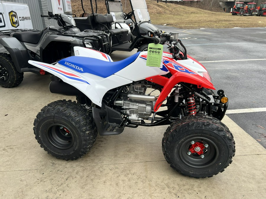 2026 Honda TRX250X