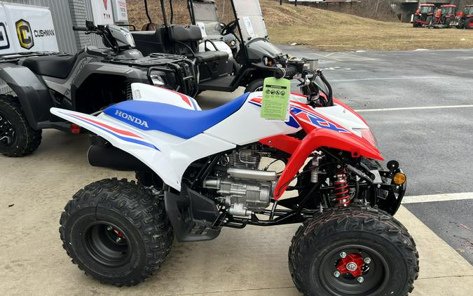 2026 Honda TRX250X