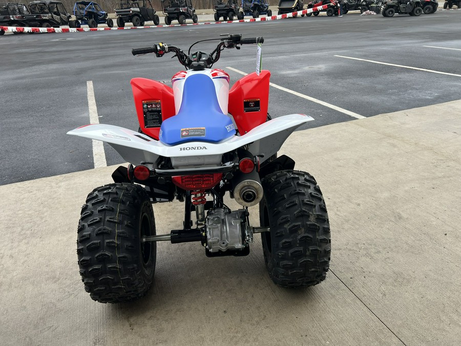 2026 Honda TRX250X