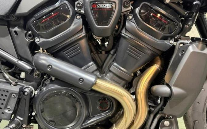 2025 Harley-Davidson® RA1250ST - Pan America® 1250 ST