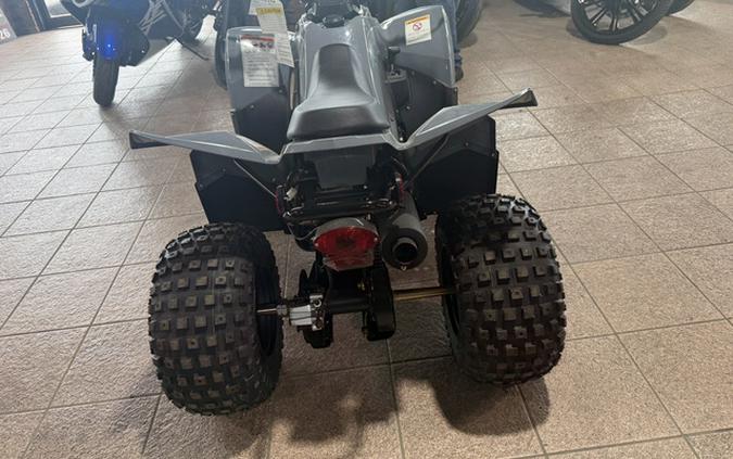 2026 KYMCO Mongoose 110i