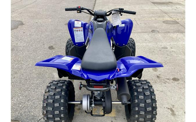 2024 Yamaha Raptor 110