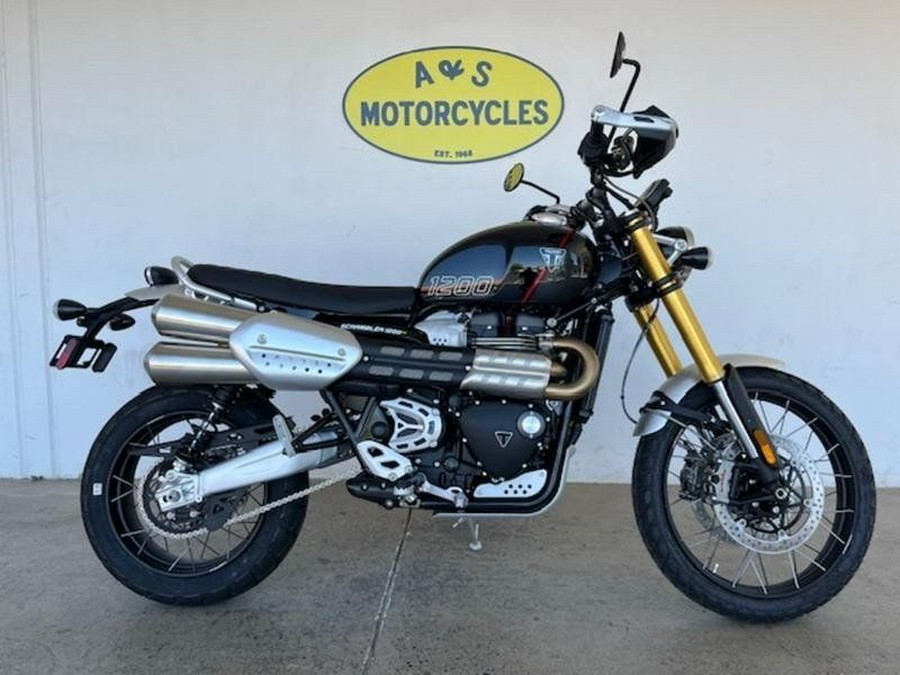 New 2024 Triumph SCRAMBLER 1200 XE