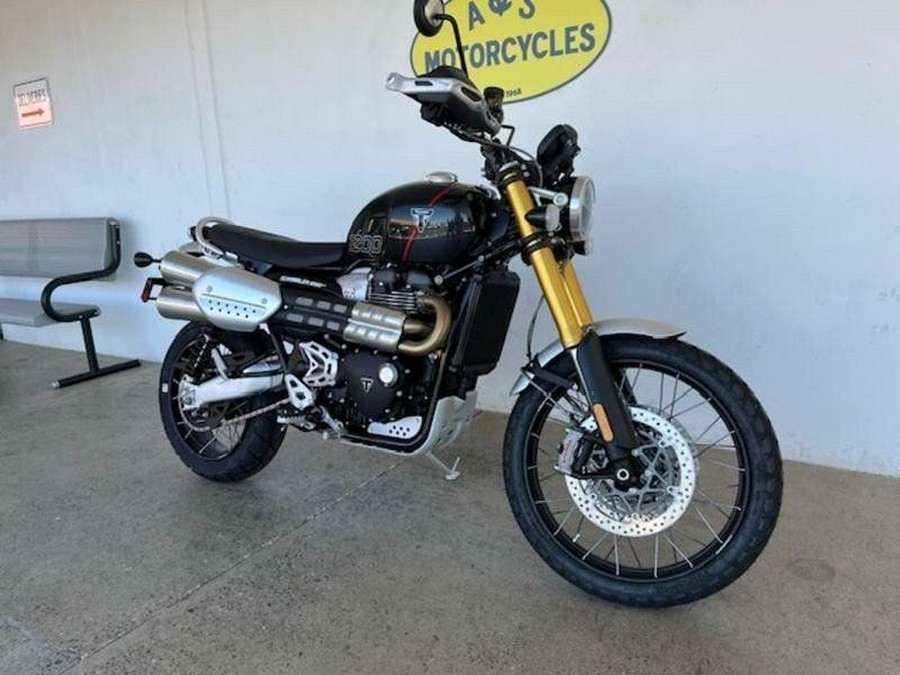 New 2024 Triumph SCRAMBLER 1200 XE