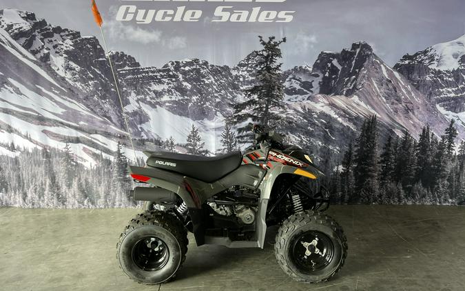 2024 Polaris Industries Phoenix™ 200