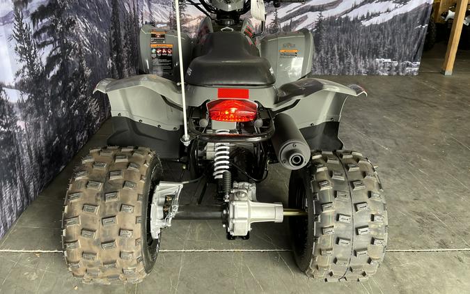 2024 Polaris Industries Phoenix™ 200