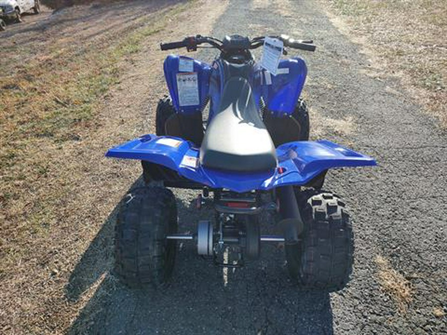 2024 Yamaha Raptor 110