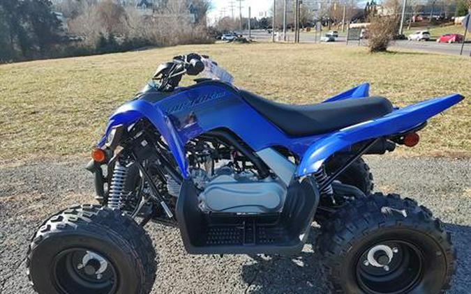 2024 Yamaha Raptor 110