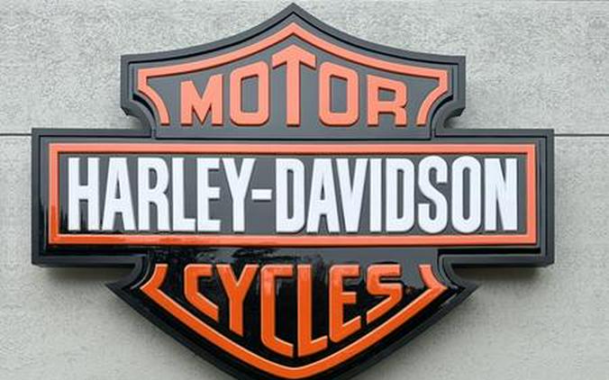 2019 Harley-Davidson® XL 883N - Sportster® Iron 883™