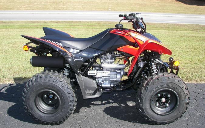 2024 Honda TRX250X