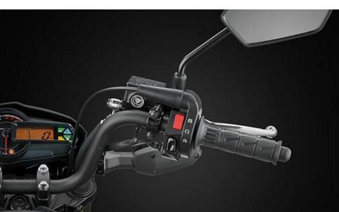 2026 Kawasaki Z125 Pro