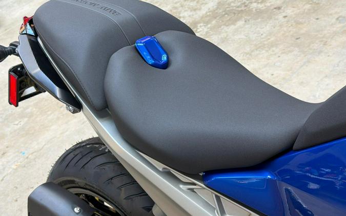 2026 BMW R 1300 R