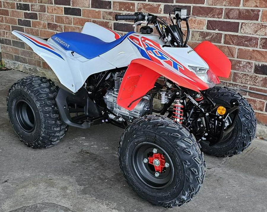 2026 Honda® TRX250X