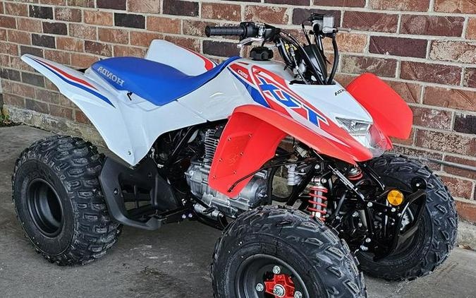 2026 Honda® TRX250X