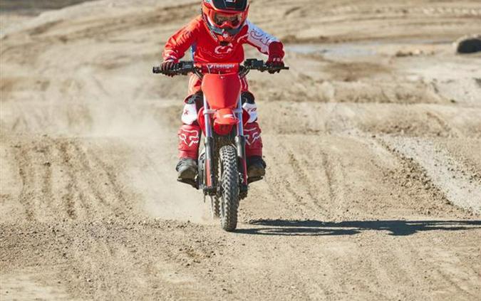 2022 Honda CRF-E2