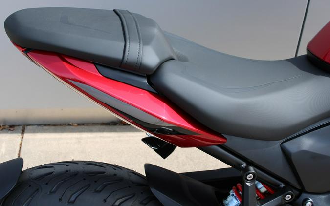 2026 Trident 800 - Triumph